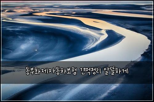๋๋ถํ์ ์๋์ฐจ๋ณดํ ๊ฒฌ์ ์ ๋ฆฌ ์๋ฐํ๊ฒ
