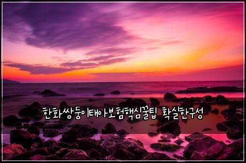 한화쌍둥이태아보험핵심꿀팁 확실한구성