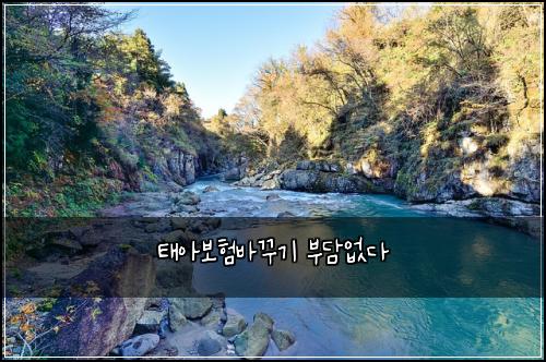 ํ์๋ณดํ๋ฐ๊พธ๊ธฐ ๋ถ๋ด์๋ค