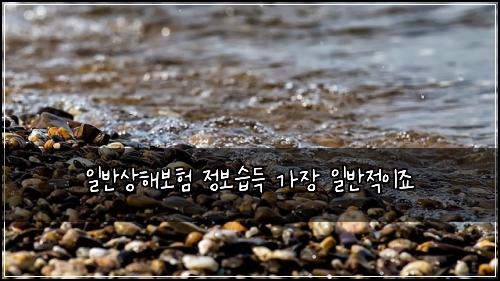 ์ผ๋ฐ์ํด๋ณดํ ์ ๋ณด์ต๋ ๊ฐ์ฅ ์ผ๋ฐ์ ์ด์ฃ