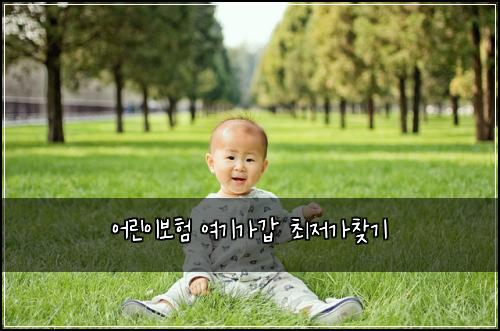 어린이보험 여기가갑  최저가찾기
