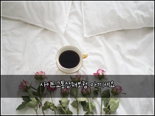์ฌ์ดํธ๊ตํต์ํด๋ณดํ ๋ง๋ผ์ธ์