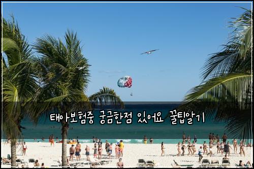 태아보험중 궁금한점 있어요 꿀팁알기