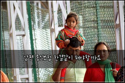 남편 종신보험 한결같이  해야할까요