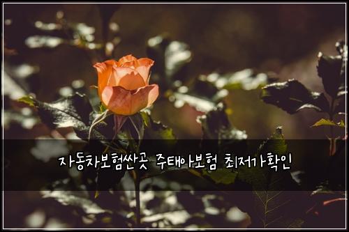 ์๋์ฐจ๋ณดํ์ผ๊ณณ ์ฃผํ์๋ณดํ ์ต์ ๊ฐํ์ธ