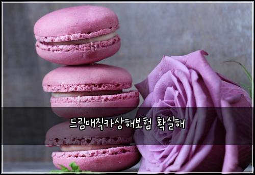 드림매직카상해보험 확실해 