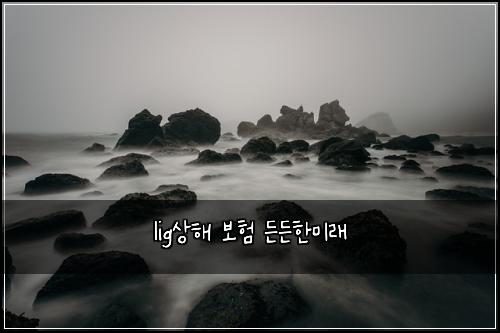 lig์ํด ๋ณดํ ๋ ๋ ํ๋ฏธ๋