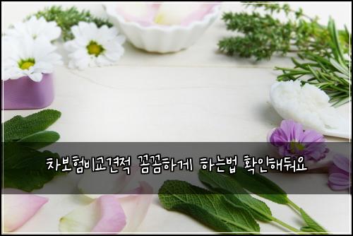 차보험비교견적 꼼꼼하게 하는법 확인해둬요