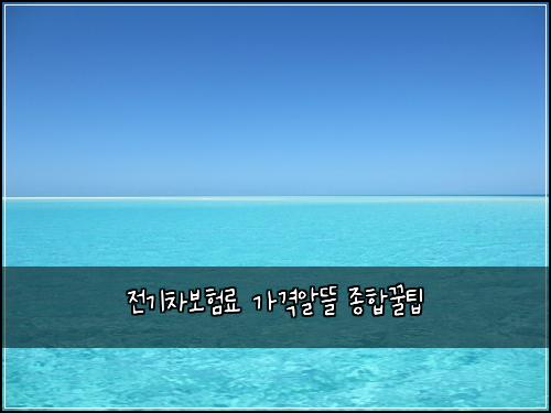 전기차보험료 가격알뜰 종합꿀팁