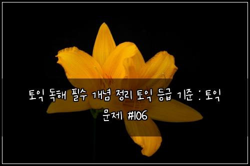 토익 독해 필수 개념 정리 토익 등급 기준 : 토익 문제 #106