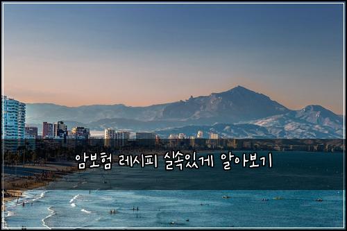 암보험 레시피  실속있게 알아보기