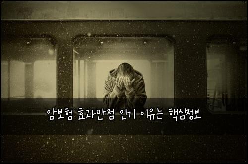 암보험 효과만점  인기 이유는 핵심정보