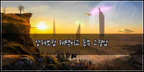 상해보험 혜택비교  동부 고혈압