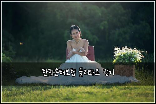 한화손해보험 둘러봐요  정기