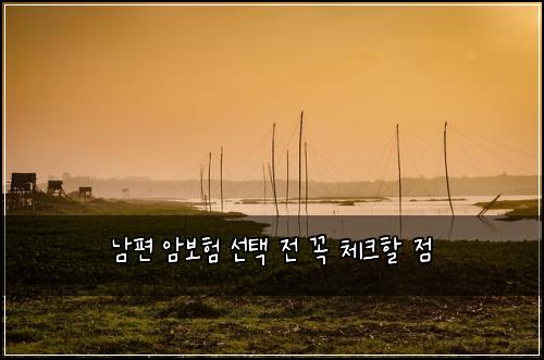 남편 암보험 선택 전 꼭 체크할 점