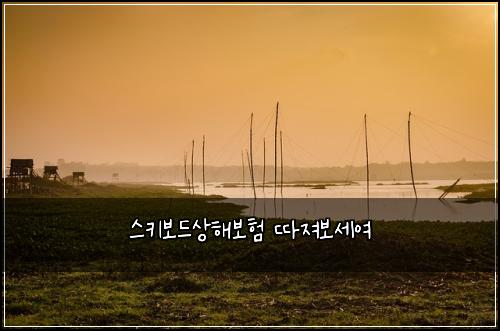 스키보드상해보험 따져보세여 