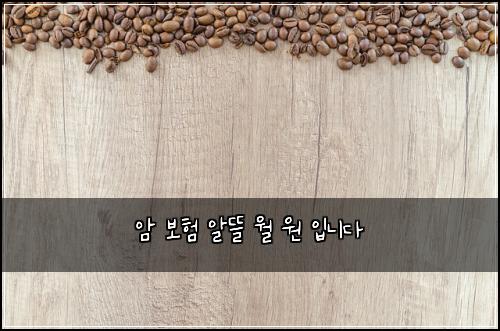 ์ ๋ณดํ ์๋ฐ ์ ์ ์
๋๋ค