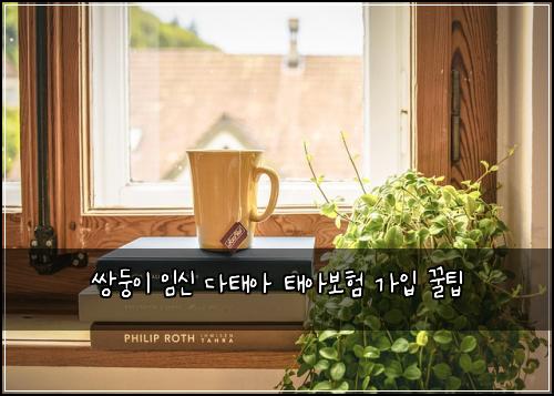 쌍둥이 임신 다태아 태아보험 가입 꿀팁