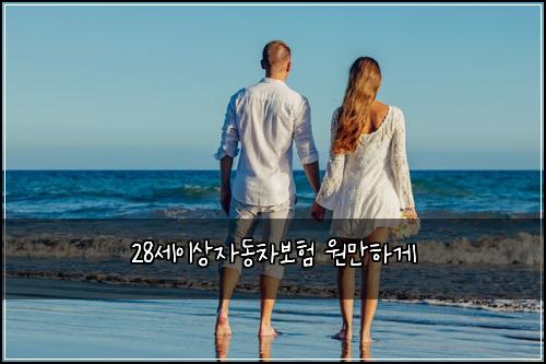 28์ธ์ด์์๋์ฐจ๋ณดํ ์๋งํ๊ฒ