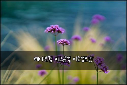 태아보험 비교분석  이소성모반