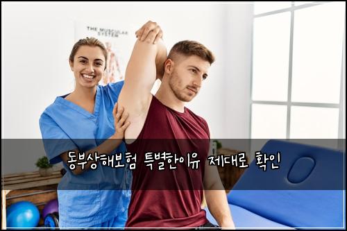 동부상해보험 특별한이유  제대로 확인
