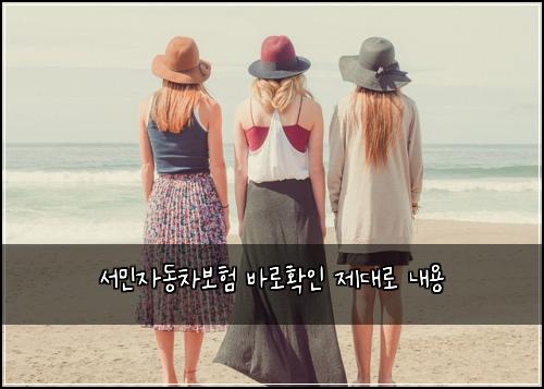 서민자동차보험 바로확인  제대로 내용
