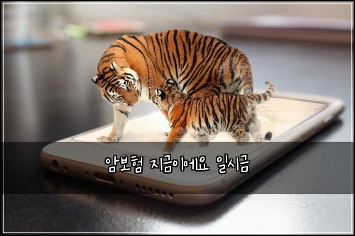 μ보ν μ§κΈμ΄μμ μΌμκΈ
