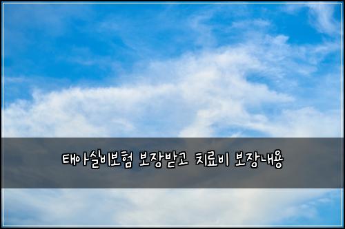 태아실비보험 보장받고  치료비 보장내용