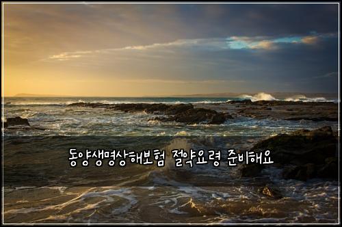 동양생명상해보험 절약요령  준비해요