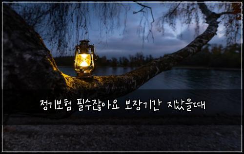 정기보험 필수잖아요  보장기간 지났을때