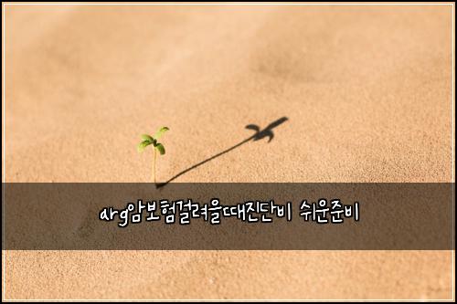 arg암보험걸려을때진단비 쉬운준비