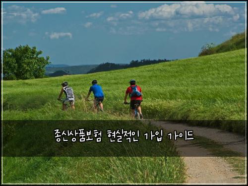 종신상품보험 현실적인 가입 가이드