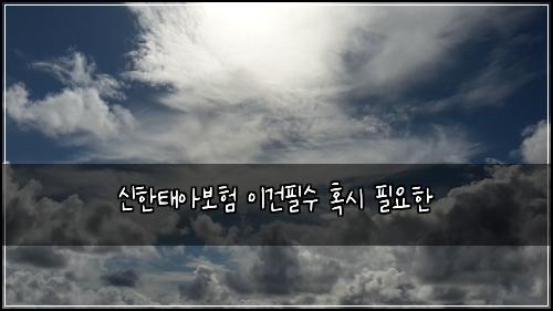신한태아보험 이건필수  혹시 필요한
