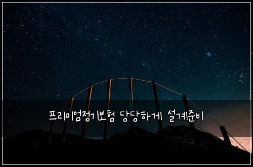 ํ๋ฆฌ๋ฏธ์์ ๊ธฐ๋ณดํ ๋น๋นํ๊ฒ ์ค๊ณ์ค๋น