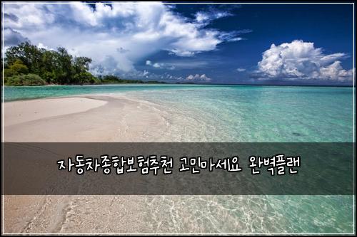 ์๋์ฐจ์ข
ํฉ๋ณดํ์ถ์ฒ ๊ณ ๋ฏผ๋ง์ธ์ ์๋ฒฝํ๋