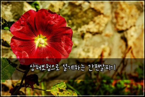 상해보험으로 설계하는 간편살피기