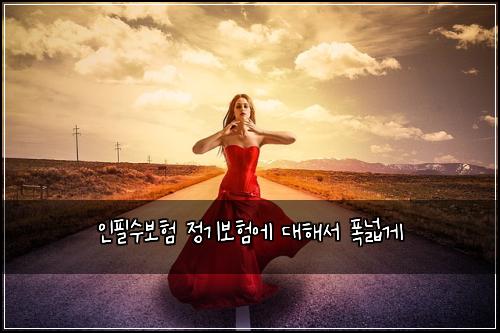 인필수보험 정기보험에 대해서 폭넓게