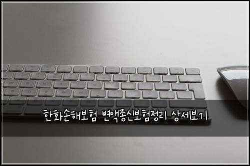 한화손해보험 변액종신보험정리 상세보기
