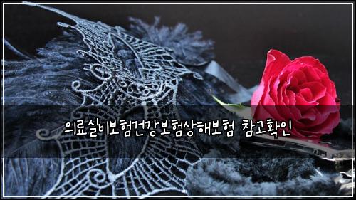 의료실비보험건강보험상해보험 참고확인