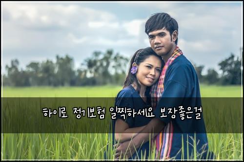 ํ์ด๋ก ์ ๊ธฐ๋ณดํ ์ผ์ฐํ์ธ์ ๋ณด์ฅ์ข์๊ฑธ
