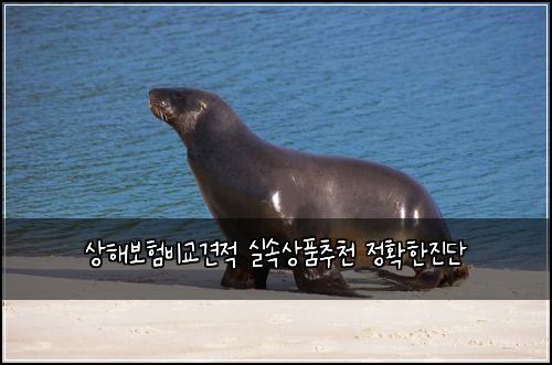 ์ํด๋ณดํ๋น๊ต๊ฒฌ์ ์ค์์ํ์ถ์ฒ ์ ํํ์ง๋จ