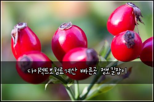 다이렉트보험료계산 빠른곳 정보길잡이
