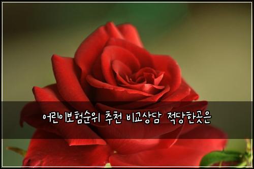 ์ด๋ฆฐ์ด๋ณดํ์์ ์ถ์ฒ ๋น๊ต์๋ด ์ ๋นํ๊ณณ์