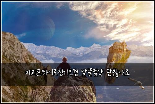 메리츠하이로정기보험 알뜰절약  괜찮나요