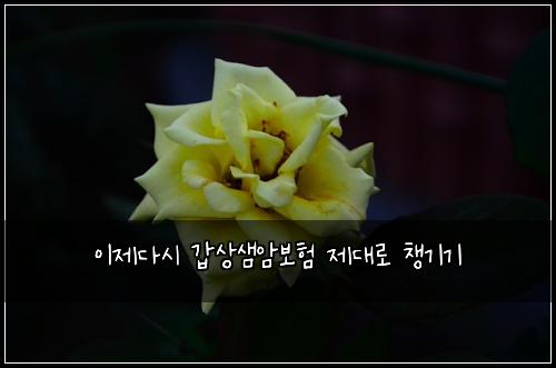이제다시 갑상샘암보험 제대로 챙기기