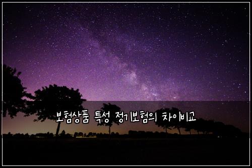 보험상품 특성 정기보험의 차이비교