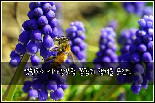 영원한아이사랑보험 꼼꼼히 챙겨볼 포인트