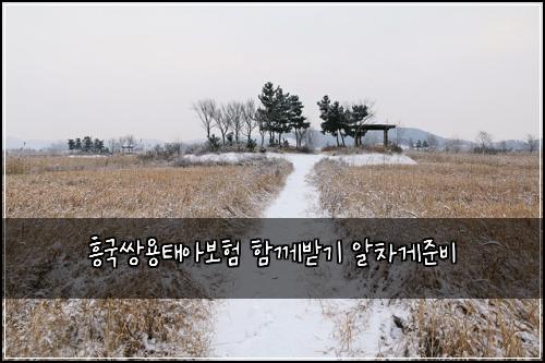 흥국쌍용태아보험 함께받기  알차게준비