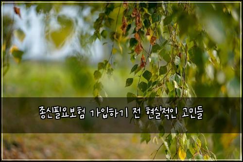 종신필요보험 가입하기 전 현실적인 고민들