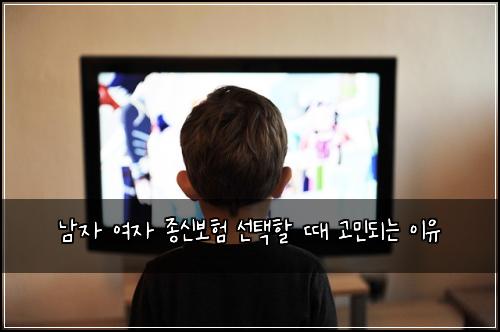 남자 여자 종신보험 선택할 때 고민되는 이유